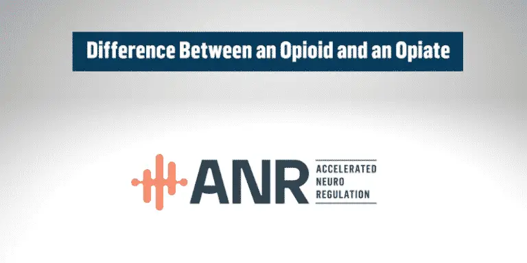 opioid vs opiate