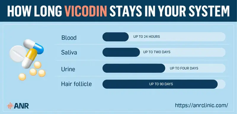 How long does vicodin stay in your system