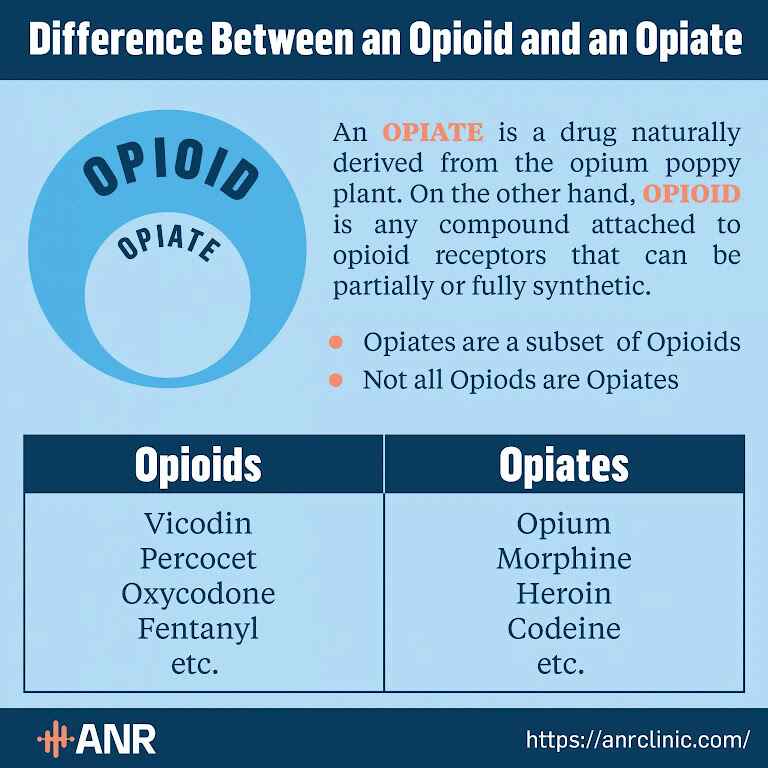 Opioids vs. Opiates: Key Differences