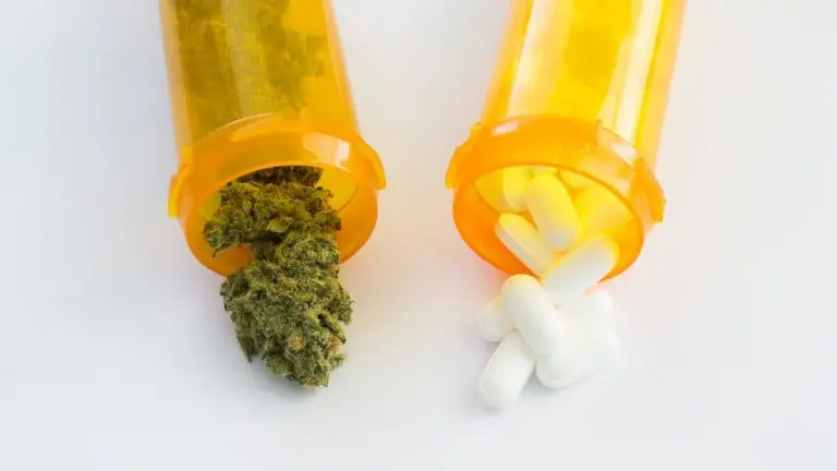 marijuana and opioids