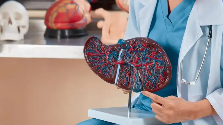 opioid use and liver damage